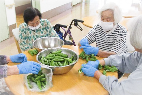 第三十八回　よどきり老健だより「畑に実った野菜を収穫」